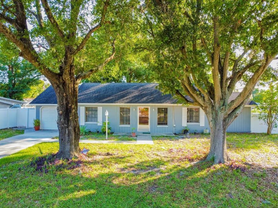 Town 'N' Country Cozy Corner, Your Florida Fun Hub Tampa Exterior foto